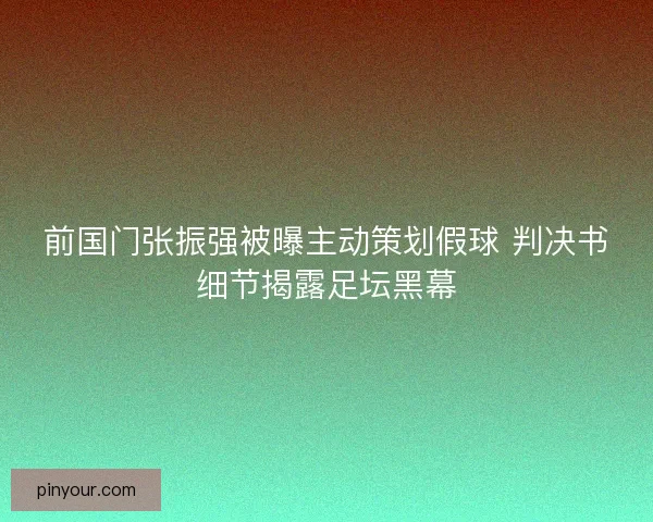 前国门张振强被曝主动策划假球 判决书细节揭露足坛黑幕